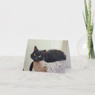 Black cat thank you card