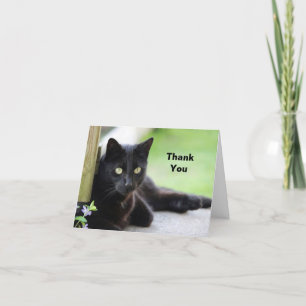 Black Cat Thank You Card