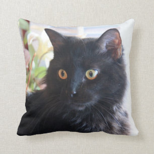 Black Cat, throw pillow