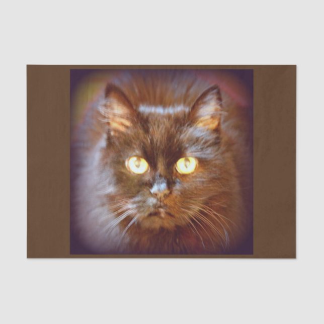 black cat tissue paper (Front)