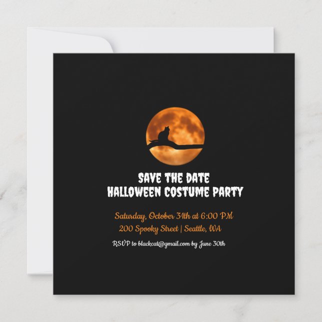 Black Cat Under Orange Moon  Halloween Invitation (Front)