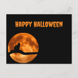 Black Cat Under Orange Moon Postcard