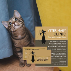 Black Cat, Veterinarian, Veterinary Service Flyer