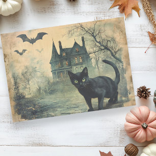 Black Cat Vintage Halloween Decoupage  Tissue Paper
