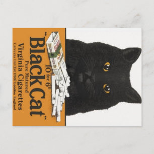 Black Cat Virginia Cigarettes Advert Postcard