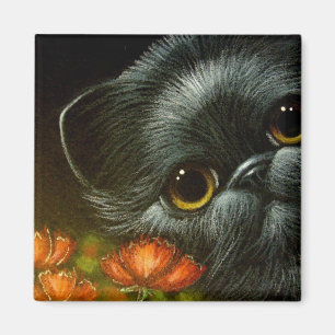 BLACK CAT w POPPY FLOWERS Magnet