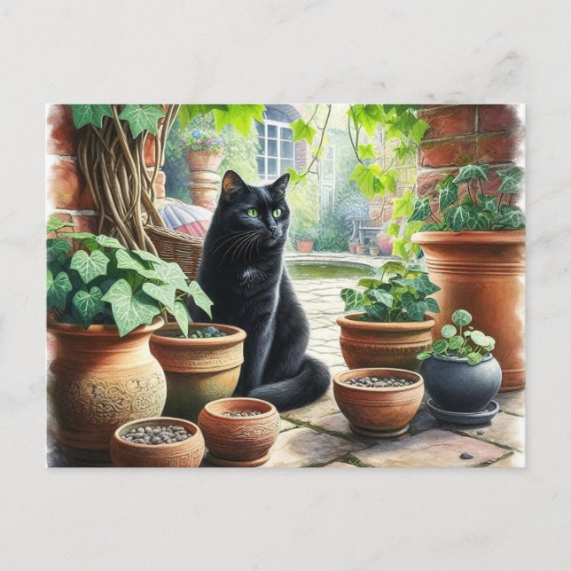 Black Cat Watching Catnip Grow Cute  Postcard (Front)