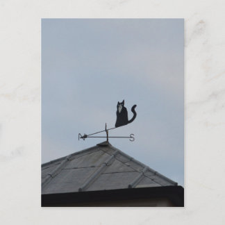Black Cat Weather Vane Postcard