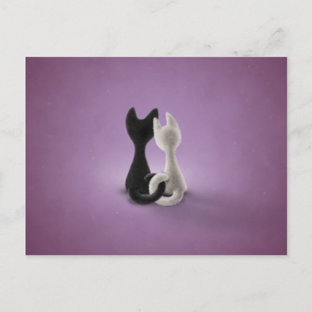 Black Cat White Cat (Colour 4) Postcard (Front)
