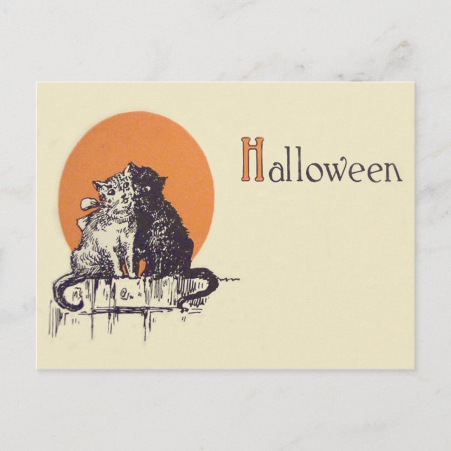 Black Cat White Cat Full Moon Romance Postcard (Front)