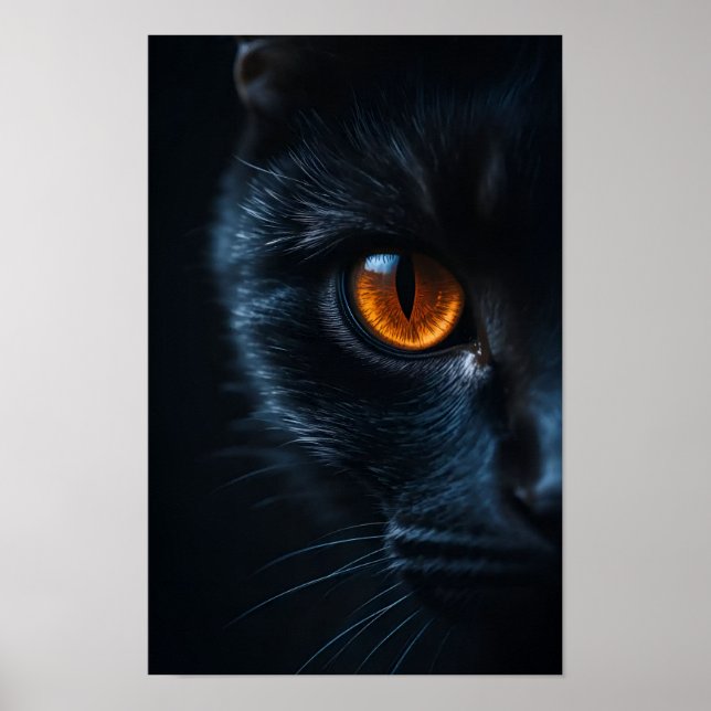 Black Cat  with Amber Eye Poster (Front)