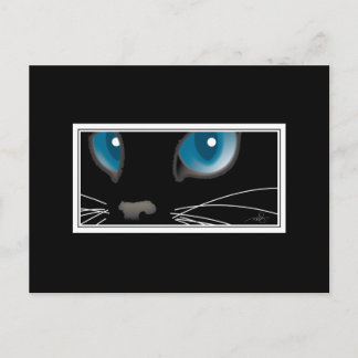 Black Cat with Blue Eyes Postcard