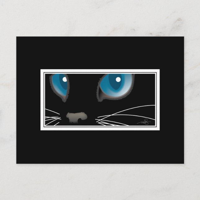 Black Cat with Blue Eyes Postcard (Front)