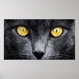 Black Cat with Golden Eyes Wall Art – Mystical Ani