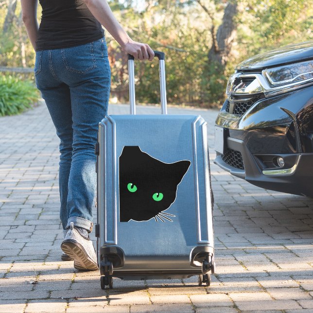 black cat with green eyes   (Suitcase Insitu)