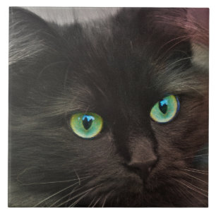 Black cat with green eyes portrait ceramic tile