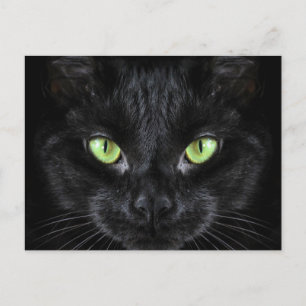 Black Cat with Green Eyes Postcard