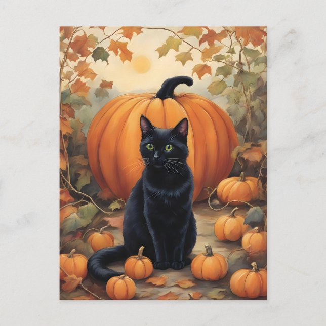 Black Cat with Halloween Pumpkin Postcard (Front)