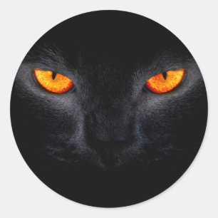 Black Cat with Orange Eyes Classic Round Sticker