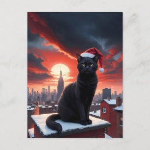 black cat with santa hat at christmas postcard