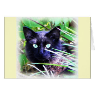 Black cat with striking green eyes