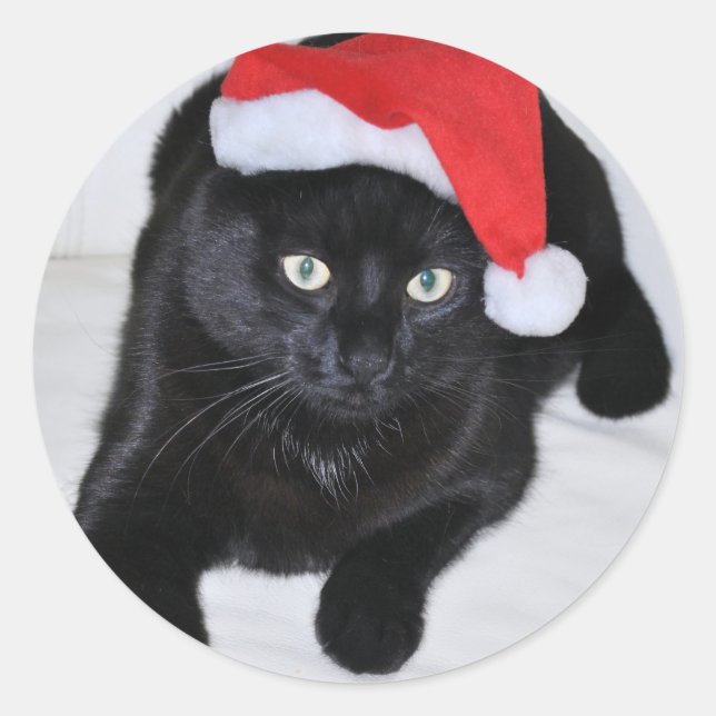 Black Cat with the Red Santa Hat Classic Round Sticker (Front)