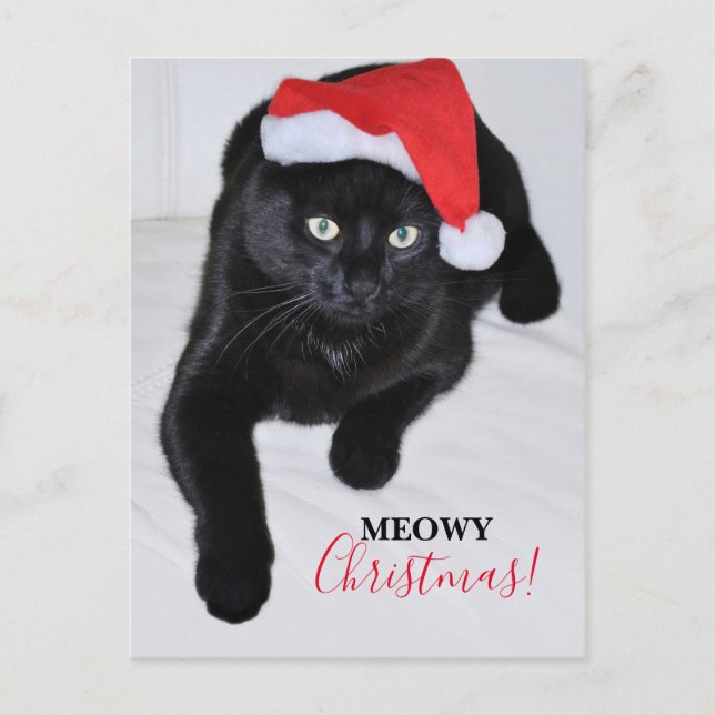 Black Cat with the Red Santa Hat Holiday Postcard (Front)