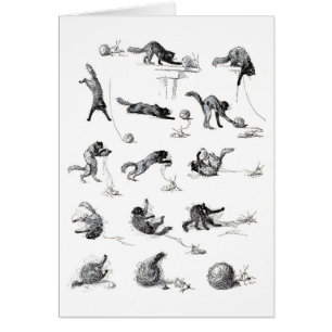 Black cat & Woollen yarn ball, Alexandre Steinlen