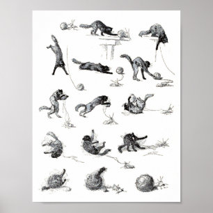 Black cat & Woollen yarn ball, Alexandre Steinlen Poster