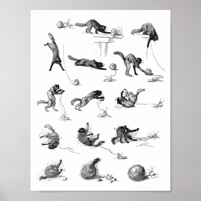 Black cat & Woollen yarn ball, Alexandre Steinlen Poster (Front)