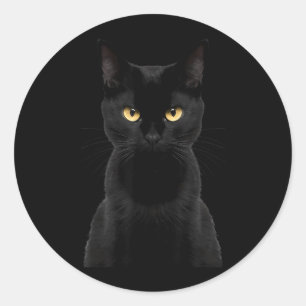 Black Cat Yellow Eyes Angry Cat Funny Staring Cat Classic Round Sticker