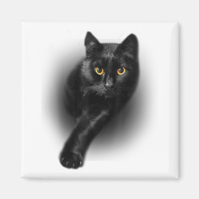 Black Cat Yellow Eyes Cats Tee Gifts Mothers Day Magnet (Front)