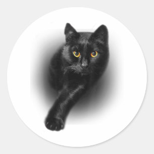 Black Cat Yellow Eyes T-Shirt Cats Tee Classic Round Sticker