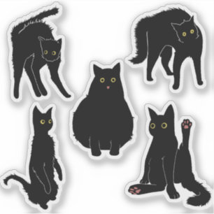 Black Cats