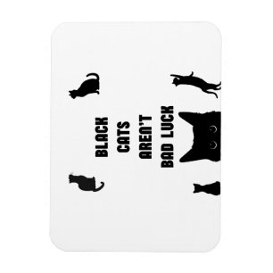 Black Cats Aren't Bad Luck Magnet