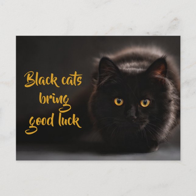 Black Cats Bring Good Luck/ Personalised Postcard (Front)