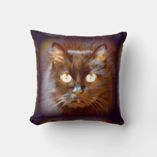 black cats cushion