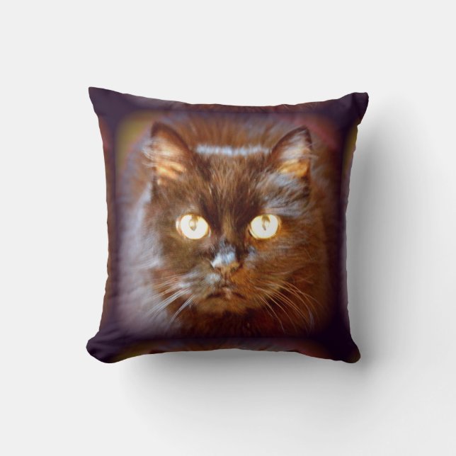 black cats cushion (Front)