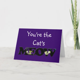 Black Cat's Eyes Greeting Cards