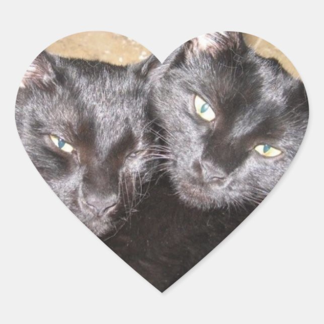 Black Cats Heart Sticker (Front)