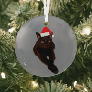 Black Cat's Photo Cutout with Santa Hat Gray Glass Tree Decoration