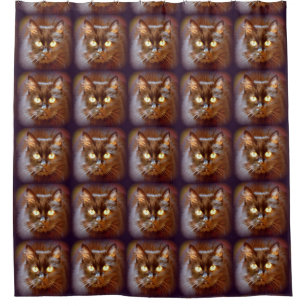black cats shower curtain