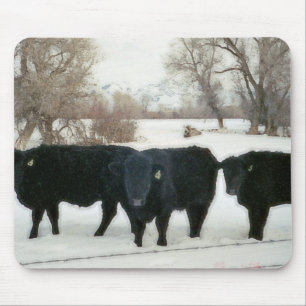 Black Cattle in Snow Mouse Pad