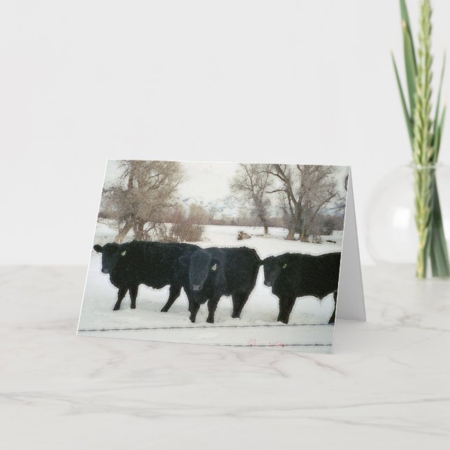 Black Cattle in Snow Thank You Card (Front)
