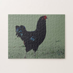 Black Chicken in the Grass Art Puzzle