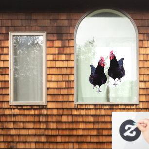 Black Chickens Strut,