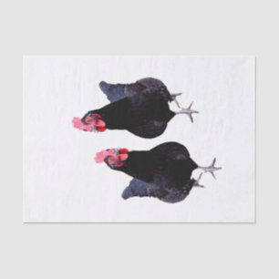 Black Chickens Strut, Tissue Paper