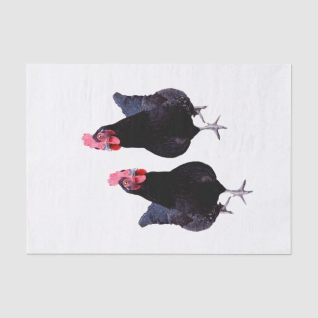 Black Chickens Strut, Tissue Paper (Front)