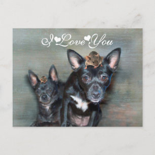 Black Chihuahua Dog with Mouse I Love You Postcard