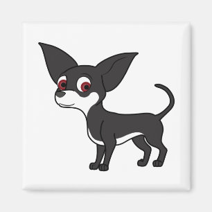Black Chihuahua with White Markings Magnet